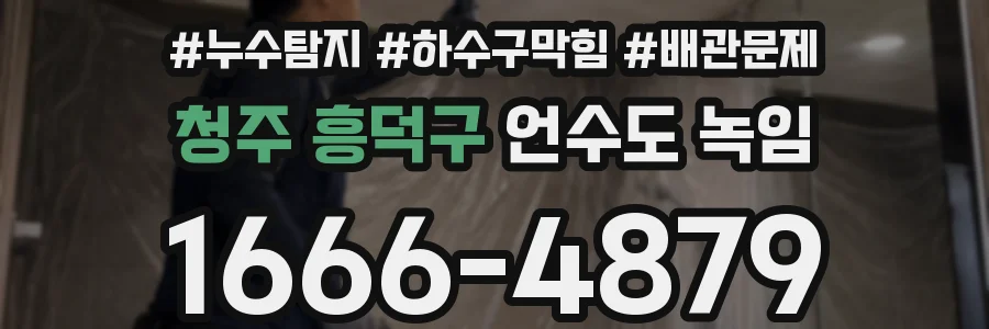 청주 흥덕구 언수도 녹임