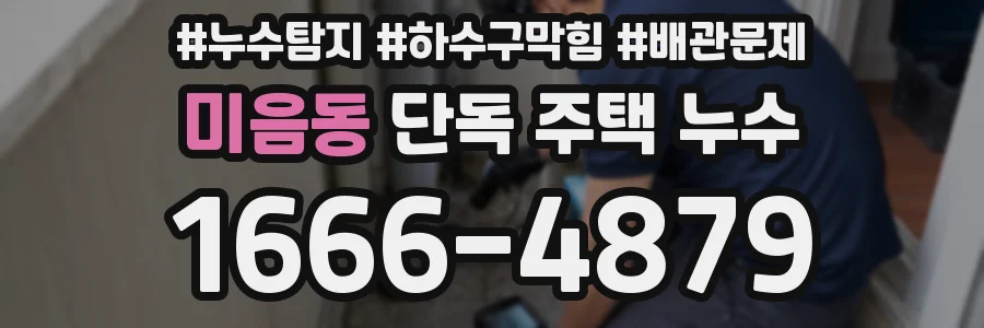 미음동 단독 주택 누수