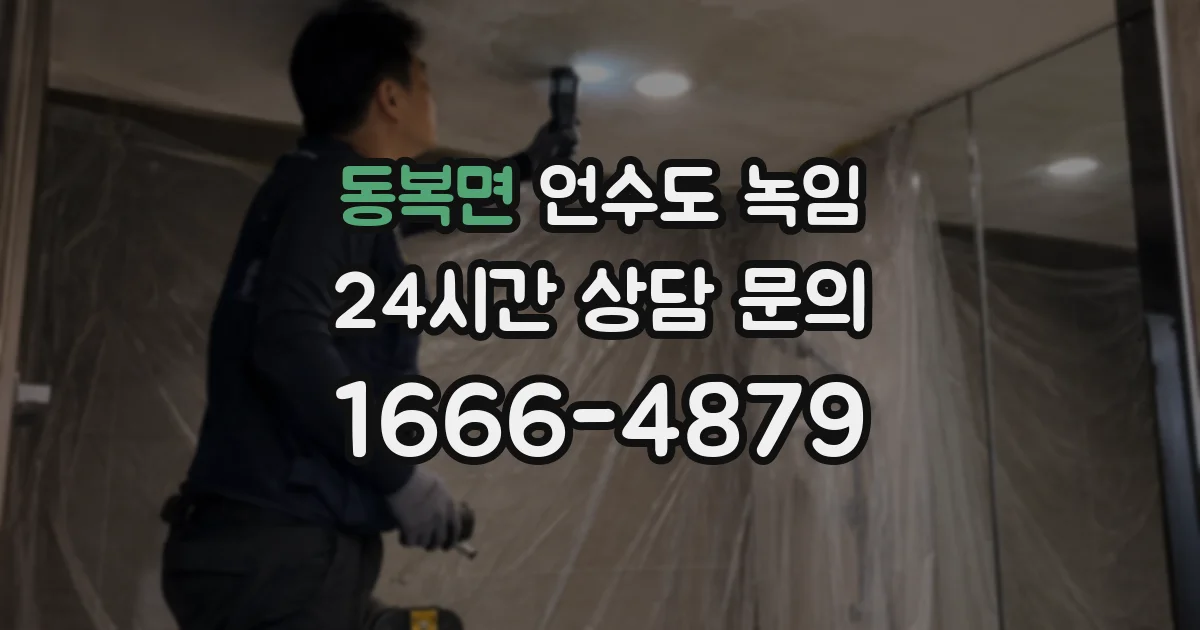 동복면 언수도 녹임