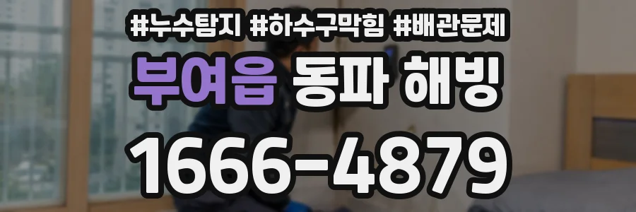 부여읍 동파 해빙