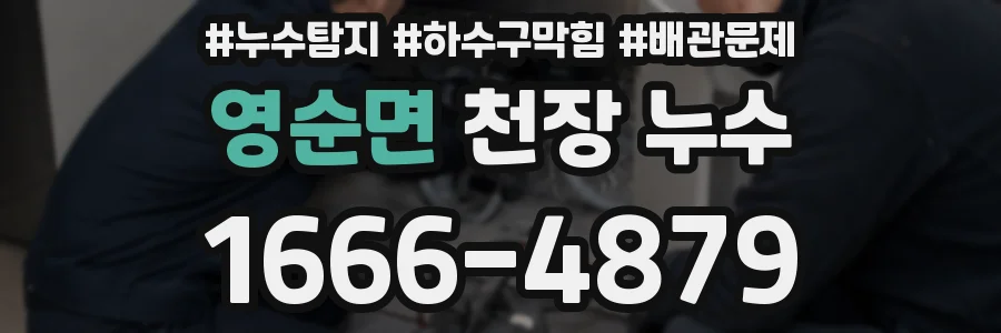 영순면 천장 누수