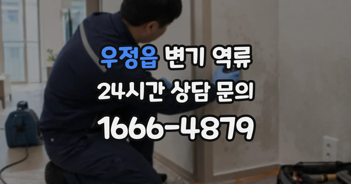 우정읍 변기 역류