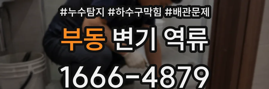 부동 변기 역류