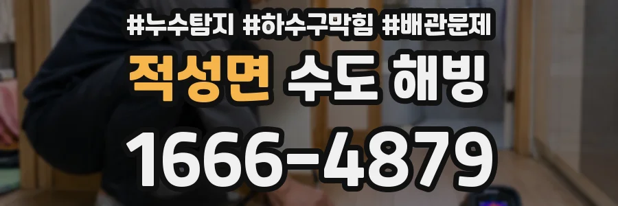 적성면 수도 해빙