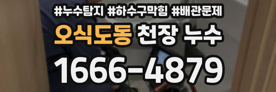 오식도동 천장 누수