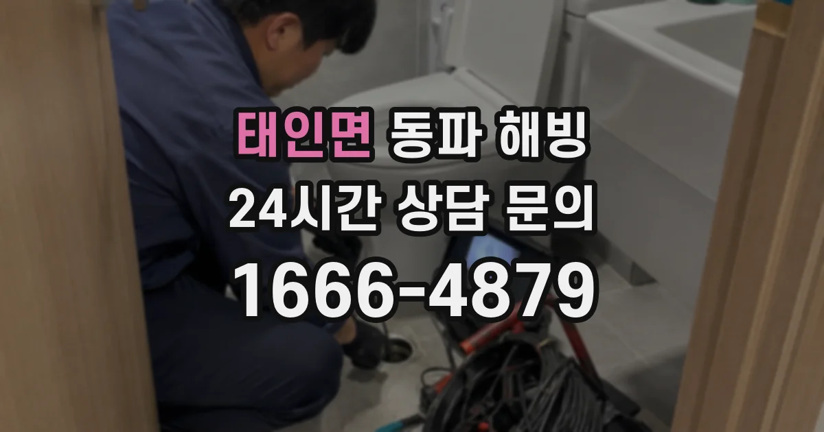 태인면 동파 해빙
