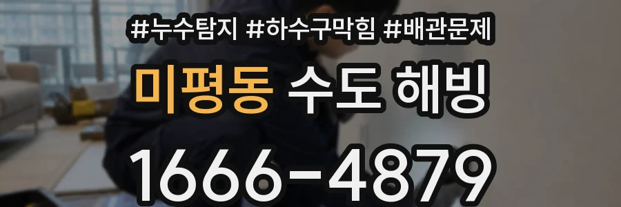 미평동 수도 해빙