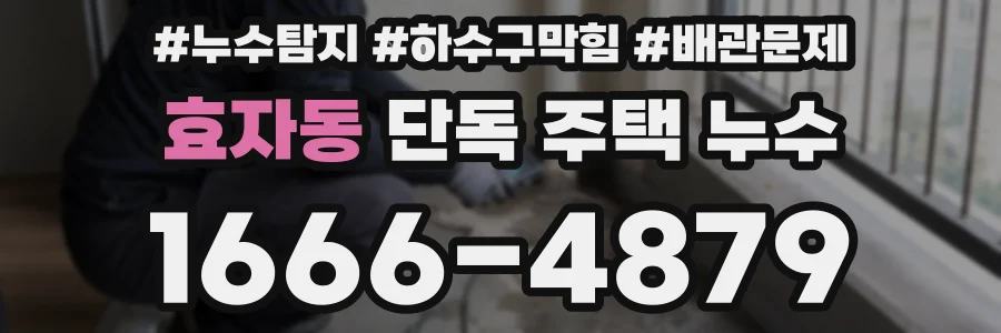 효자동 단독 주택 누수