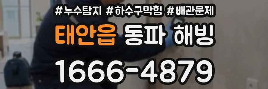 태안읍 동파 해빙
