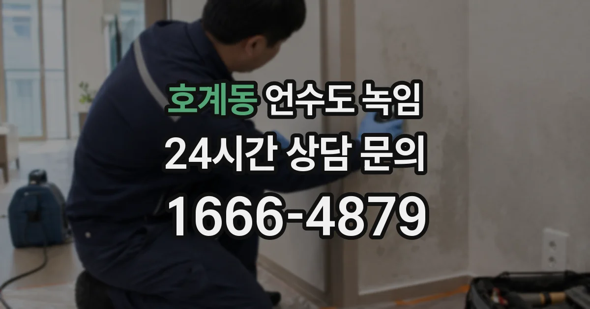 호계동 언수도 녹임