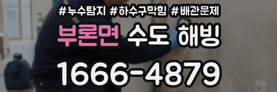 부론면 수도 해빙