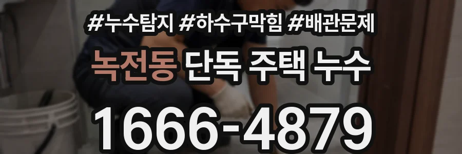 녹전동 단독 주택 누수