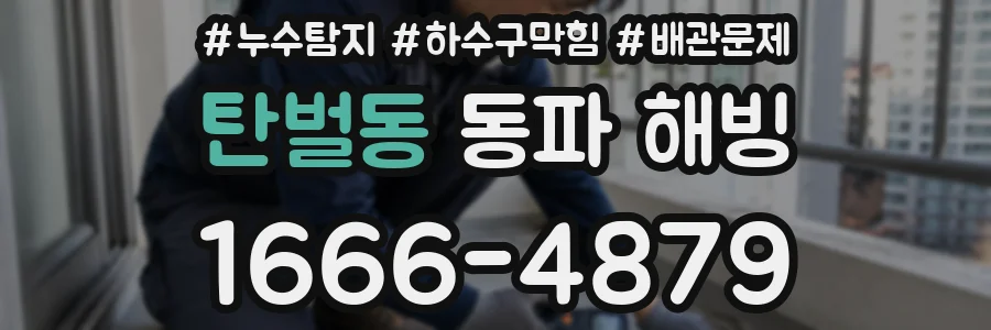 탄벌동 동파 해빙
