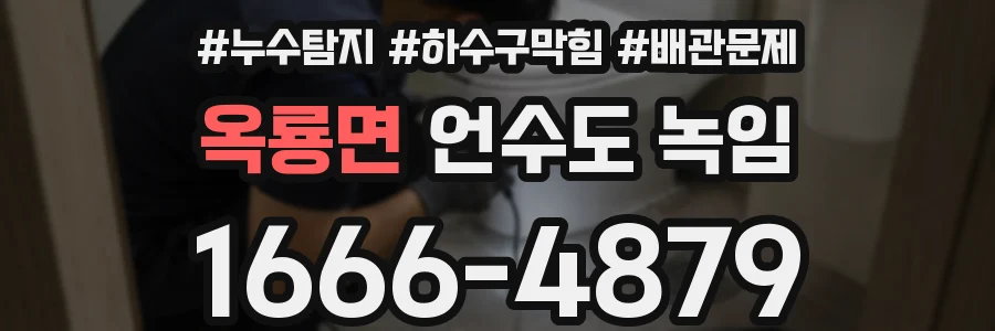 옥룡면 언수도 녹임