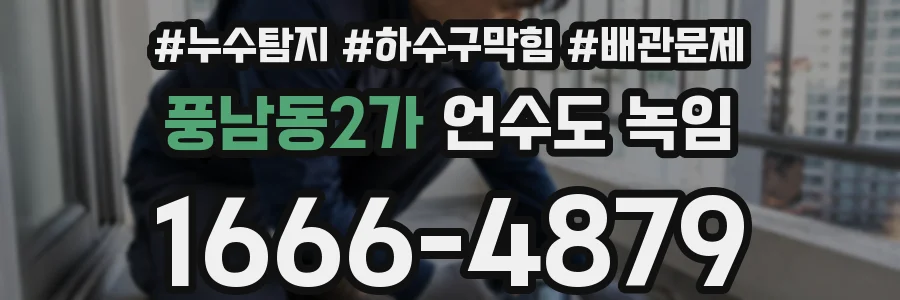 풍남동2가 언수도 녹임