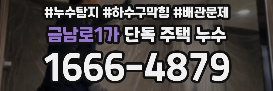 금남로1가 단독 주택 누수