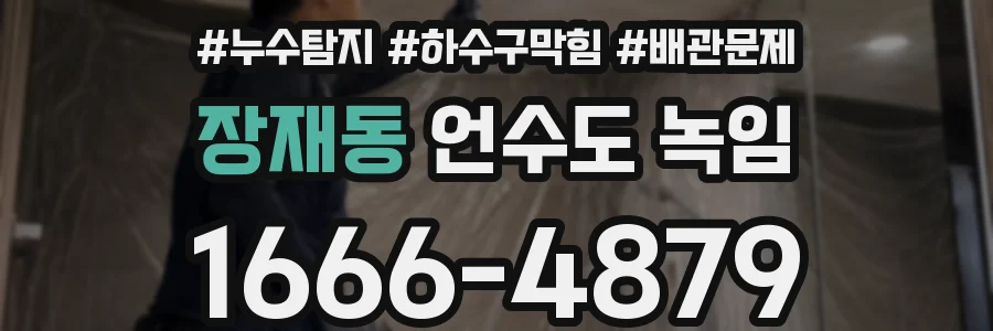 장재동 언수도 녹임