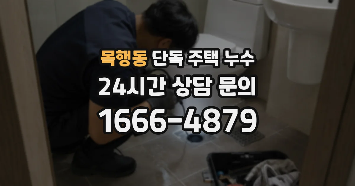 목행동 단독 주택 누수
