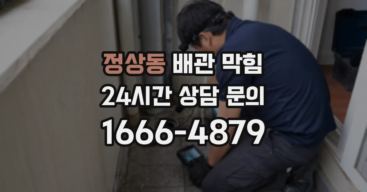 정상동 배관 막힘