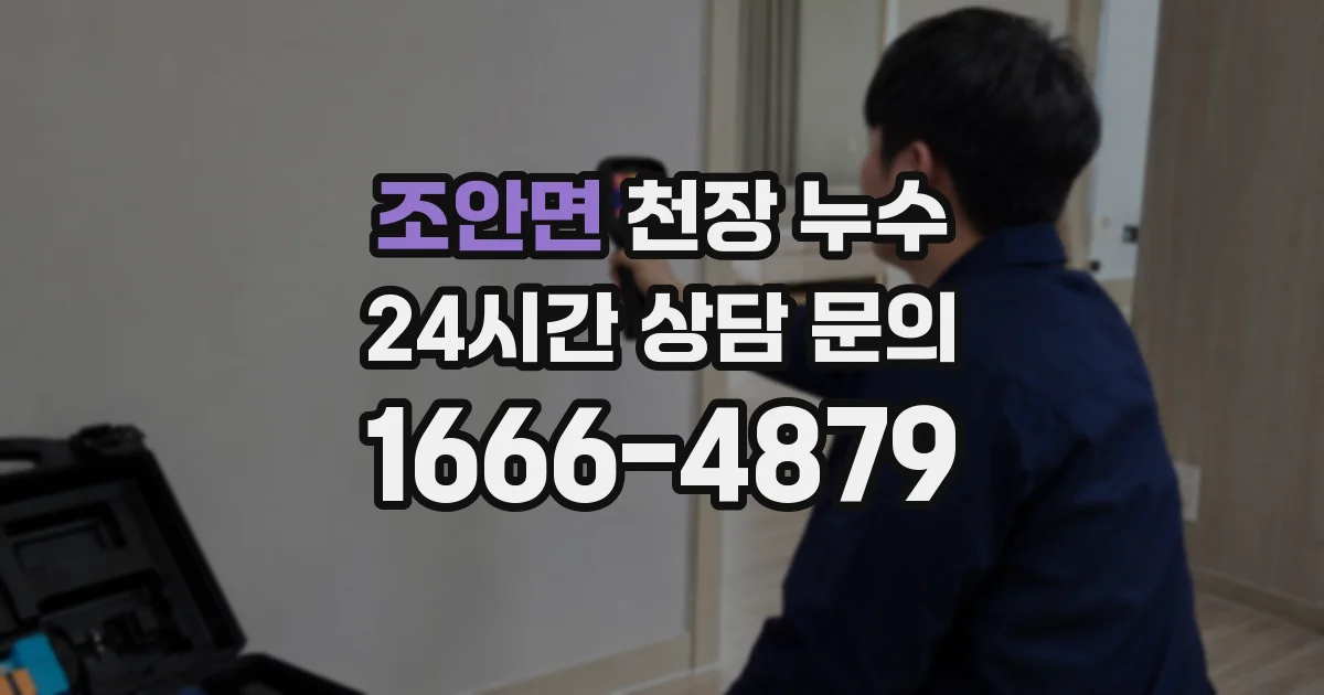 조안면 천장 누수