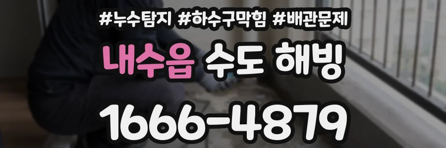 내수읍 수도 해빙