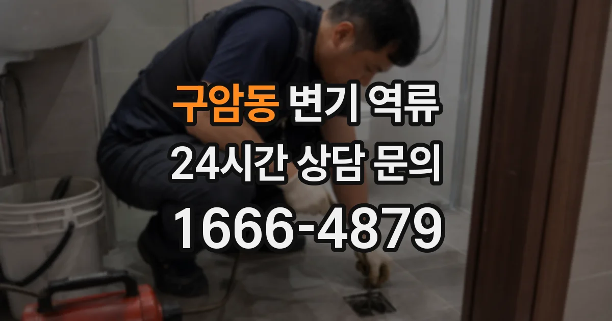 구암동 변기 역류