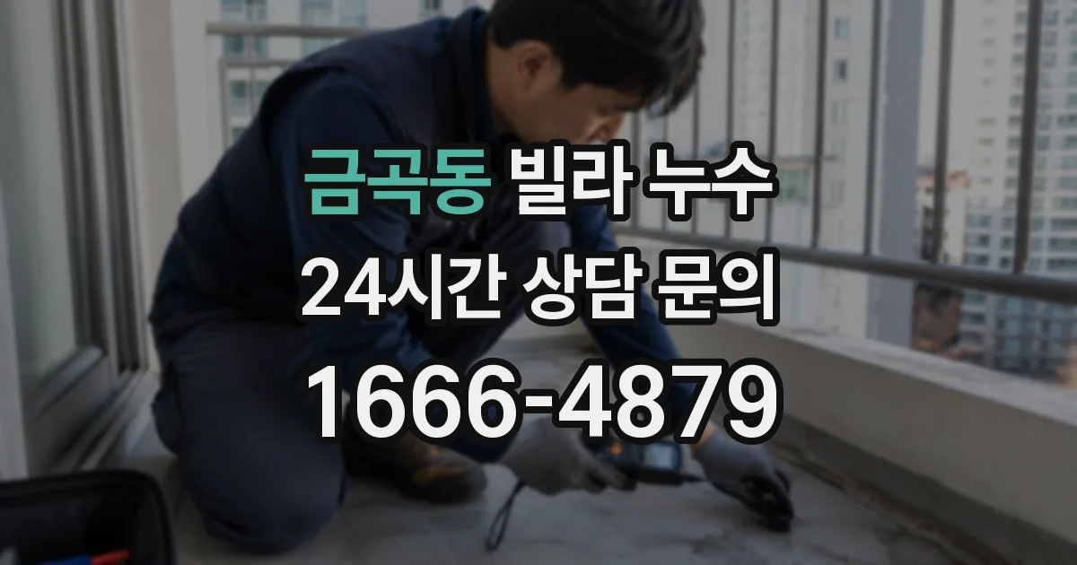 금곡동 빌라 누수
