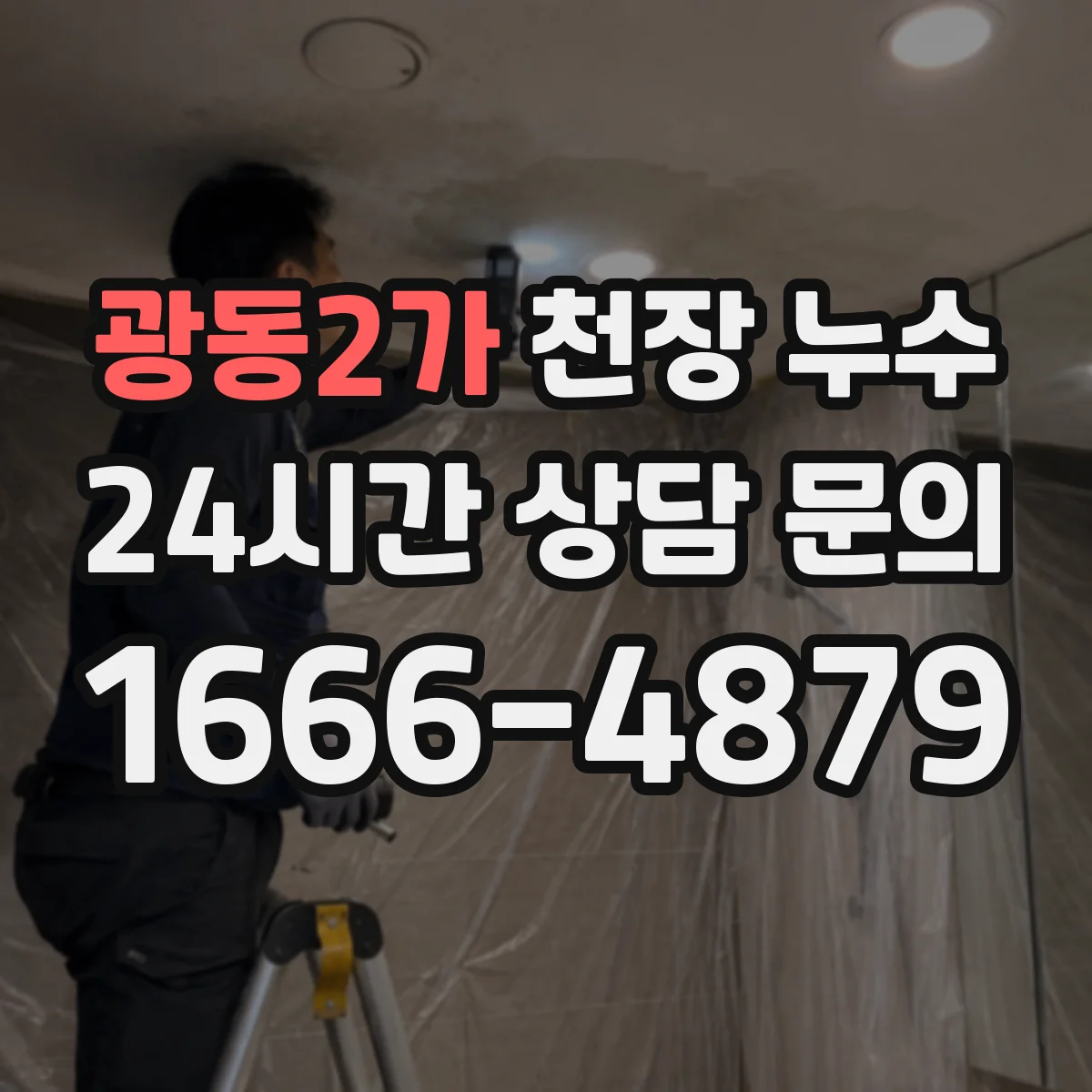 광동2가 천장 누수