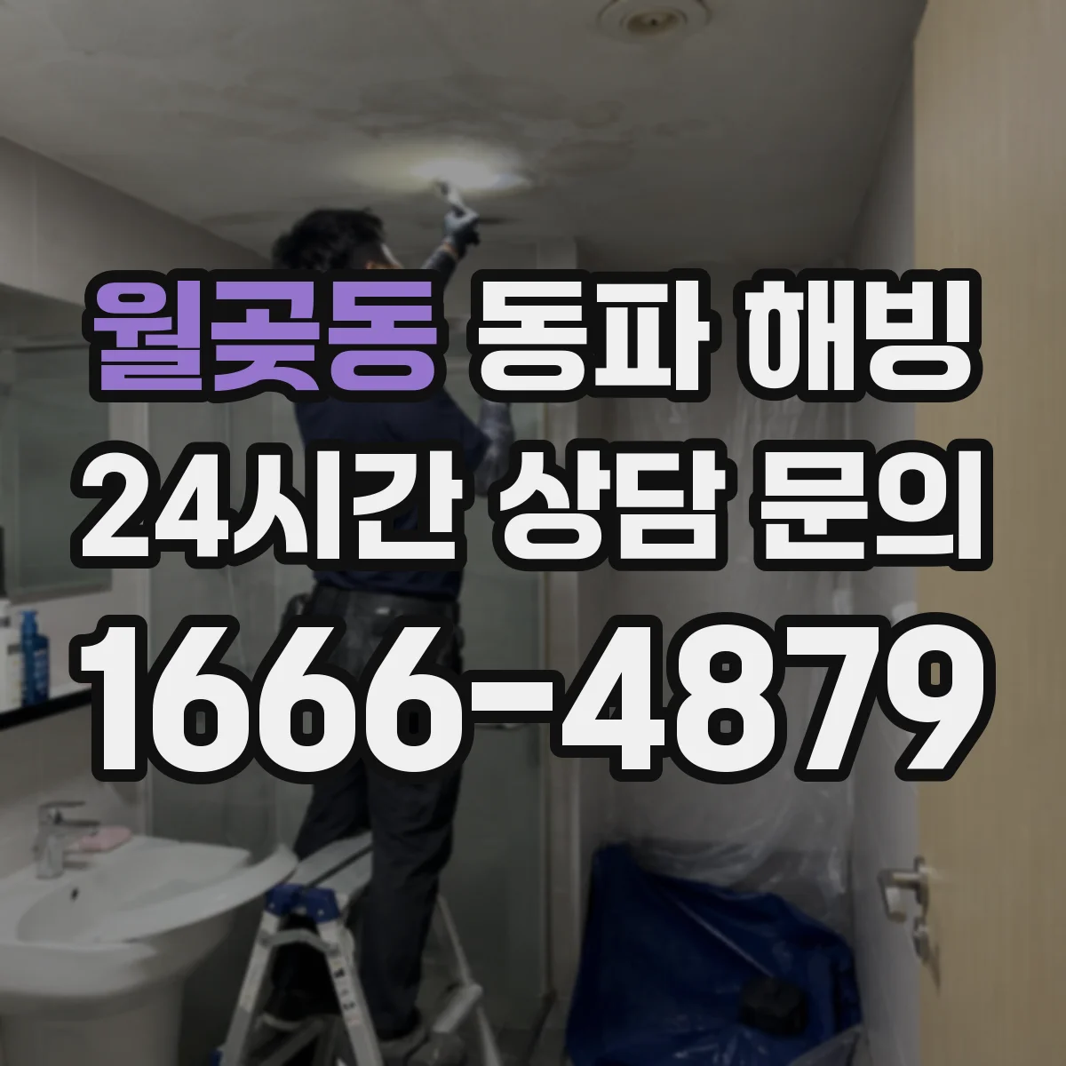 월곶동 동파 해빙