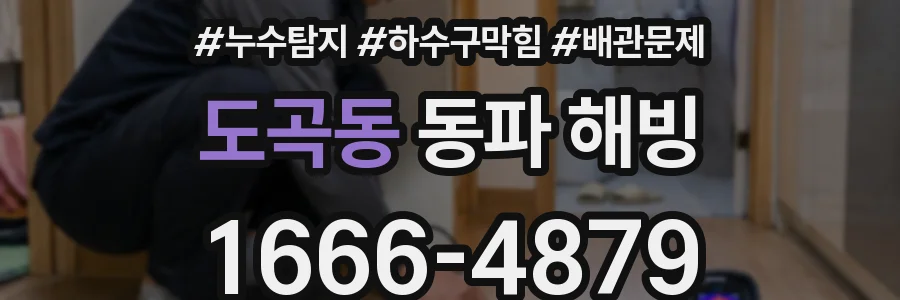 도곡동 동파 해빙