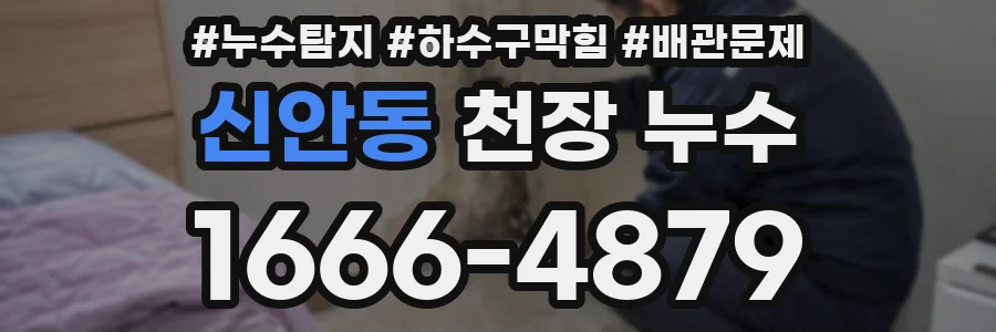 신안동 천장 누수