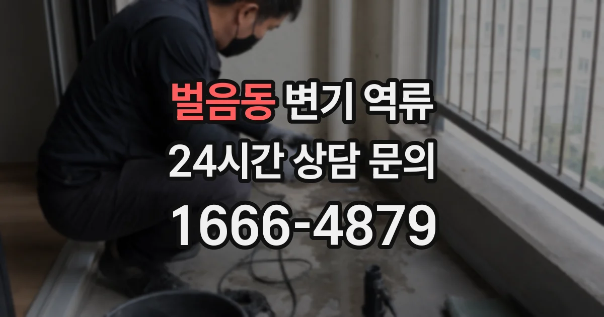 벌음동 변기 역류