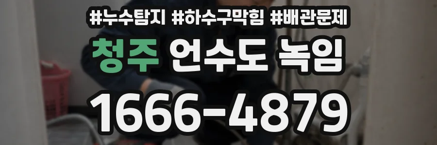 청주 언수도 녹임