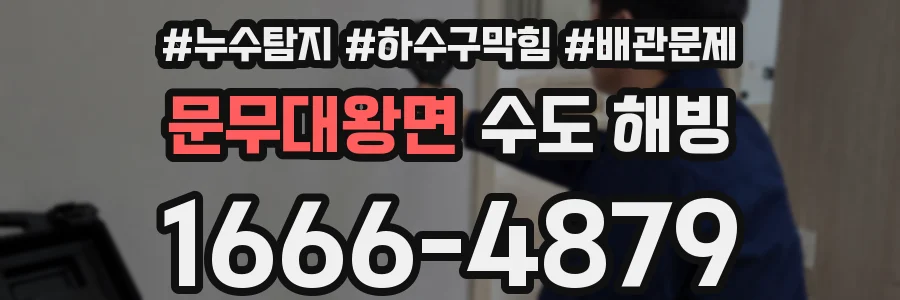 문무대왕면 수도 해빙