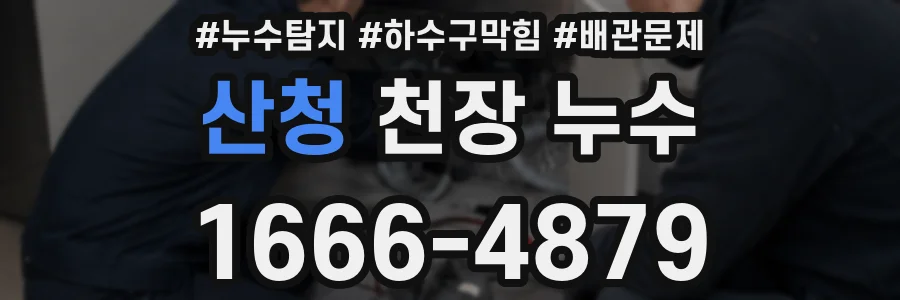 산청 천장 누수