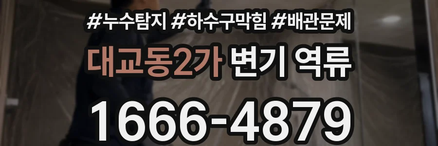 대교동2가 변기 역류