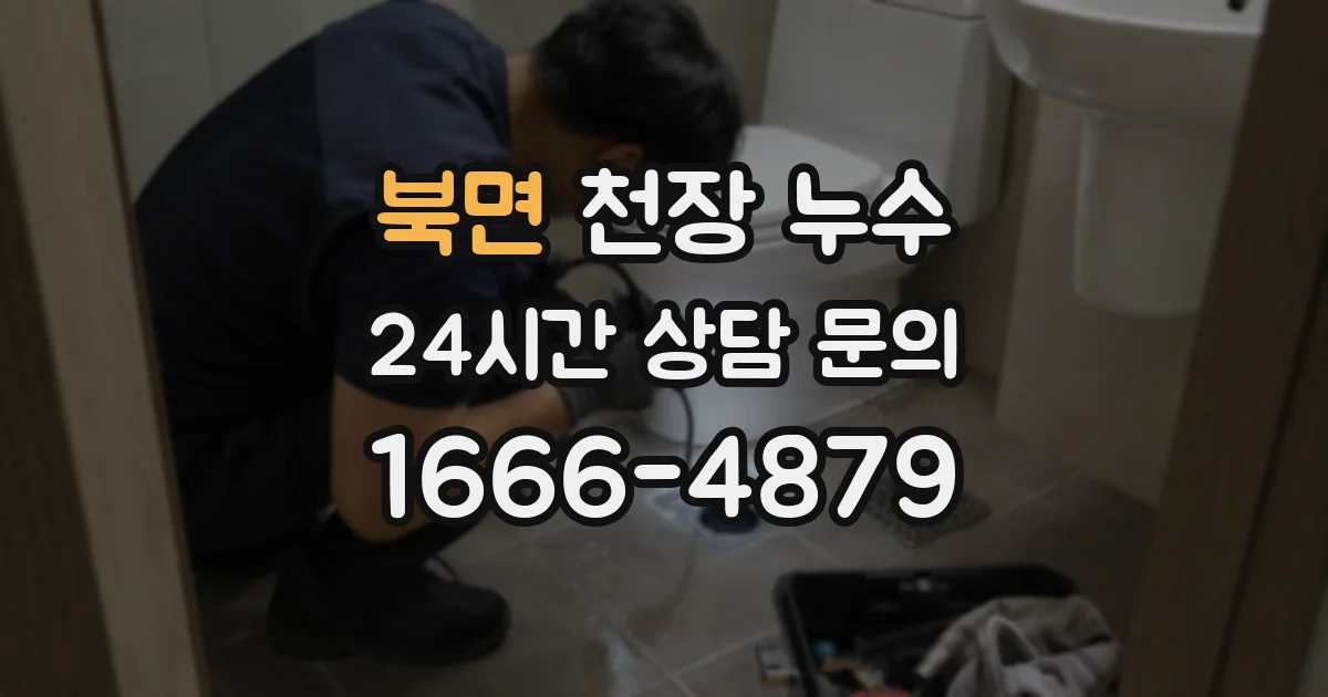 북면 천장 누수