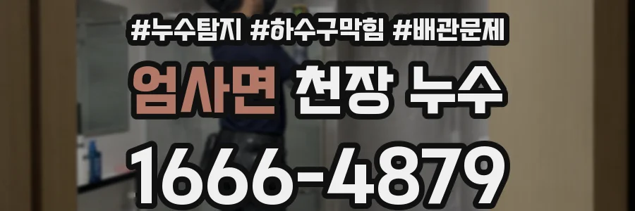엄사면 천장 누수