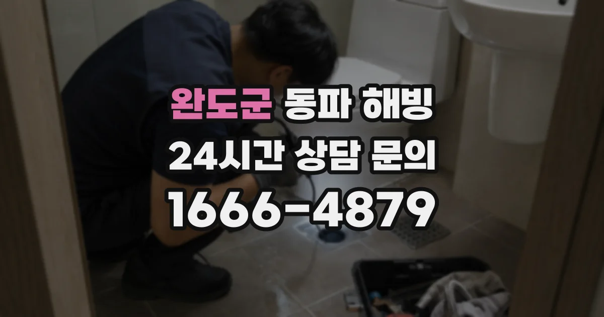 완도군 동파 해빙