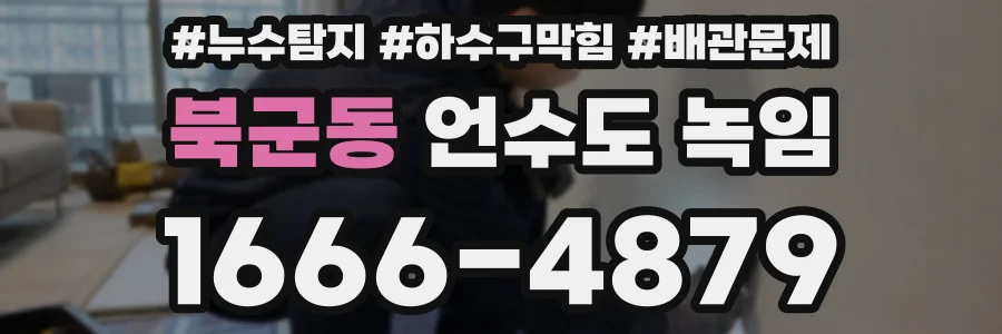 북군동 언수도 녹임