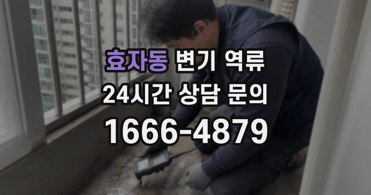 효자동 변기 역류