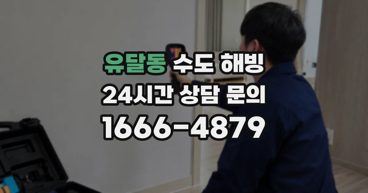 유달동 수도 해빙