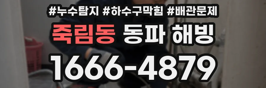 죽림동 동파 해빙