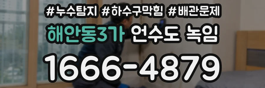 해안동3가 언수도 녹임