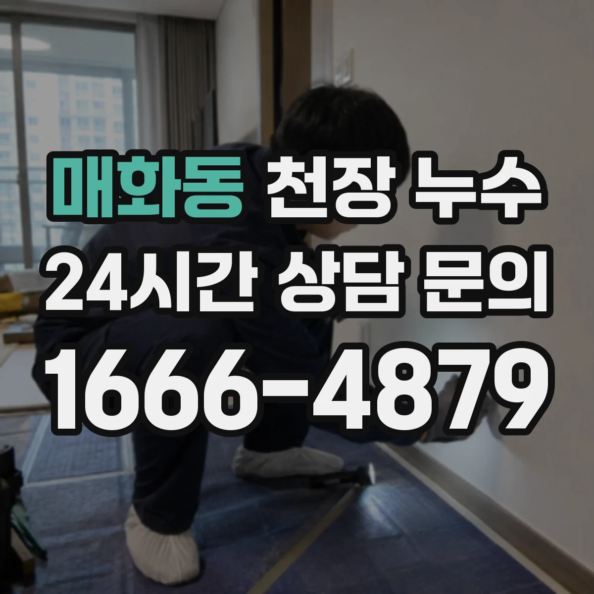 매화동 천장 누수