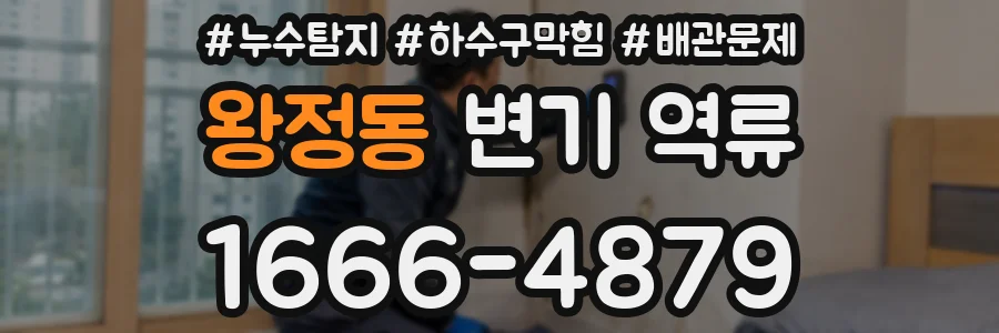 왕정동 변기 역류