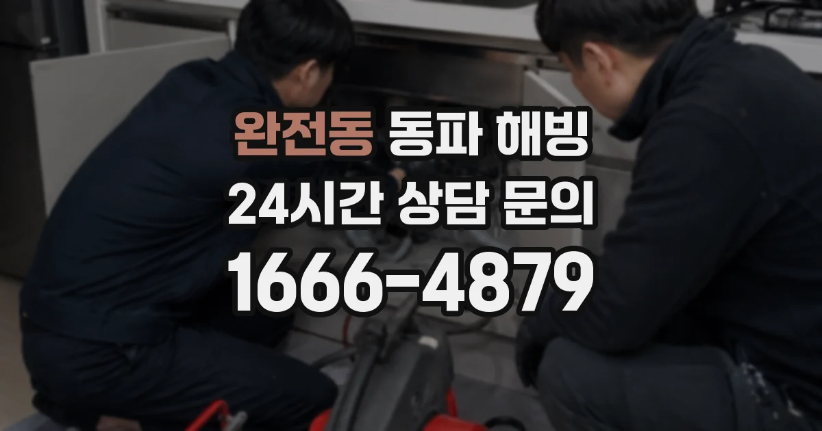 완전동 동파 해빙