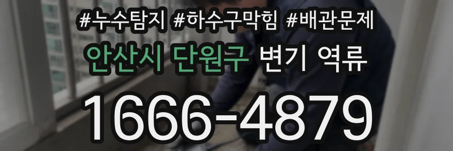 안산시 단원구 변기 역류