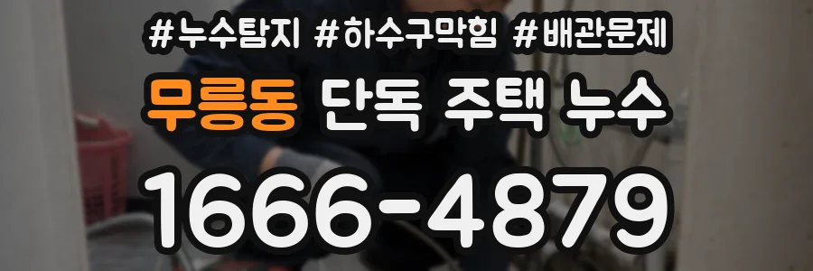 무릉동 단독 주택 누수