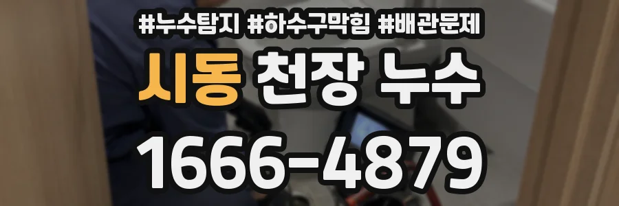 시동 천장 누수